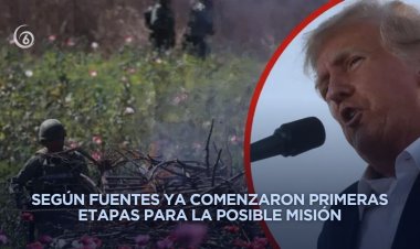 Trump reitera misión contra cárteles en México con posible despliegue militar, según medios