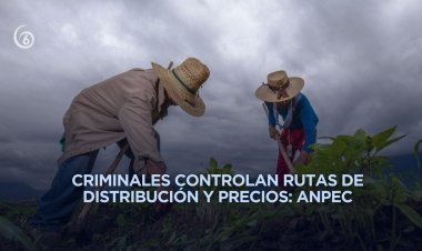 Extorsión a productores encarece directamente la canasta básica en el Estado de México
