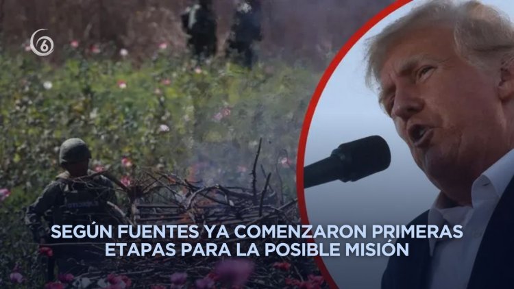 Trump reitera misión contra cárteles en México con posible despliegue militar, según medios