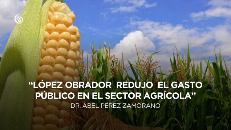 Opinión: La crisis en el mercado de maíz