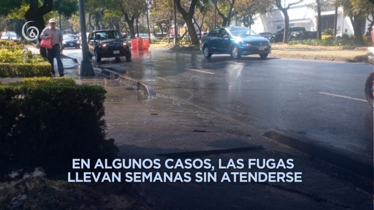 Gobiernos de Edomex y CDMX no reparan fugas de agua pese a constantes denuncias