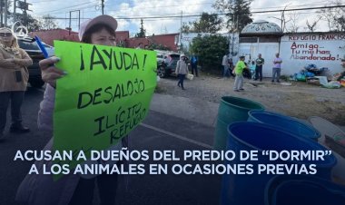 Desalojo del Refugio Franciscano genera preocupación por el destino de cientos de animales
