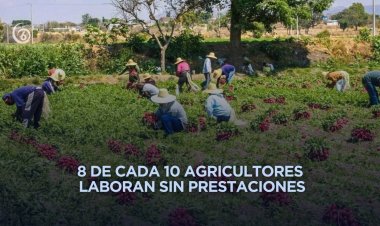 Informalidad domina el empleo agrícola en México y América Latina