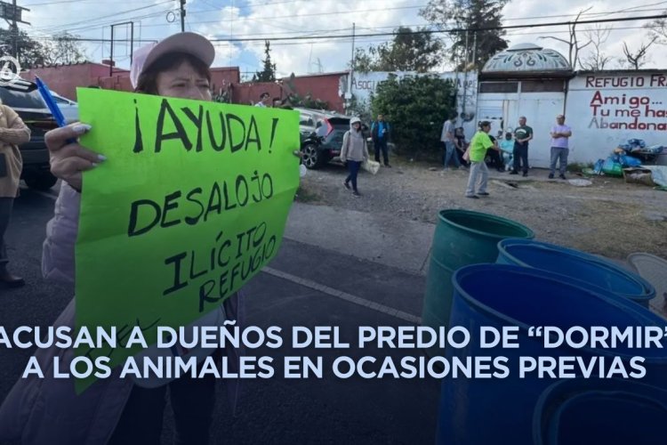 Desalojo del Refugio Franciscano genera preocupación por el destino de cientos de animales