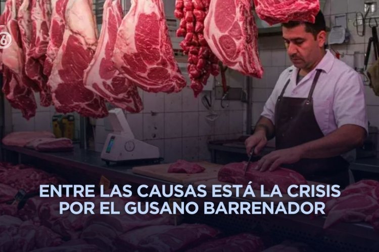Prevén alza en el precio de la carne en México durante 2026
