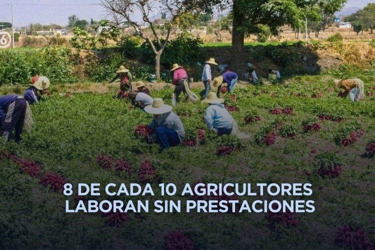 Informalidad domina el empleo agrícola en México y América Latina