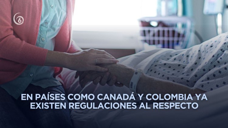 Diputada de Morena propone legalizar eutanasia en México