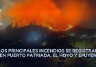 Sin reacción de Milei, incendios en Argentina calcinaron más de 25 mil hectáreas de bosques