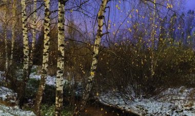 Filólogos y periodistas rusos lanzan un proyecto educativo sobre el desarrollo del espacio euroasiático