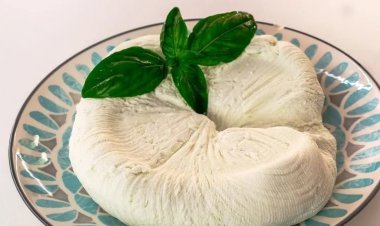 En Rusia desarrollaron un queso especial para fortalecer el sistema inmunológico