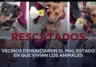 Rescatan a perritos en Ixtapaluca que presuntamente sufrían maltrato