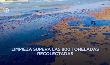 Continúa investigación de 13 buques por contaminación de hidrocarburo en el Golfo de México