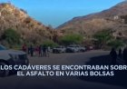 Hallan siete cuerpos desmembrados en Cualác, Guerrero
