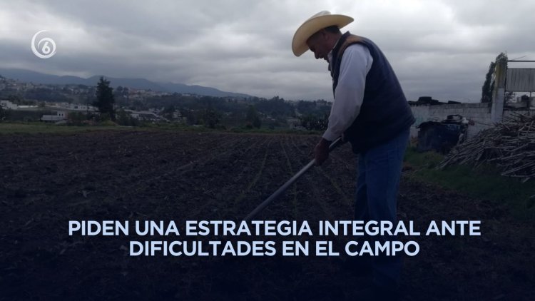 Clima extremo y falta de apoyos podría agravar crisis en el campo mexicano