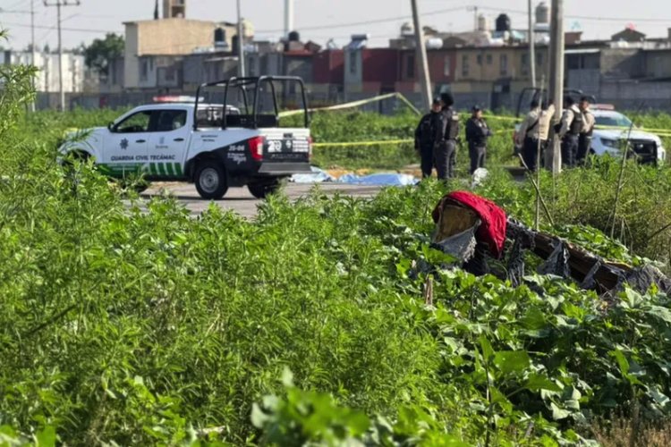 Encuentran cuerpos sin vida con señales de violencia en Tecámac