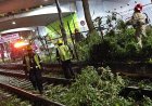 Tren ligero suspende servicio por segunda ocasión en menos de dos días