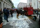 Con vacas y litros de leche derramada, productores exigen solución a crisis en el sector